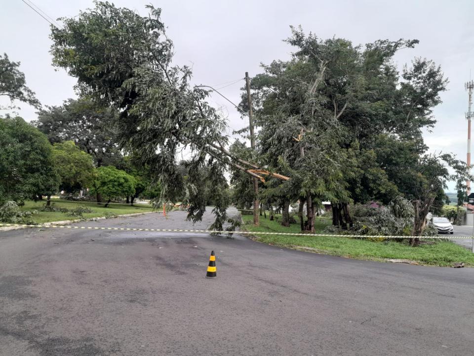 Foto 6 de 29 — Tempestade derruba dezenas de árvores e causa prejuízos em Boa Esperança do Sul